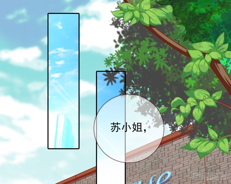 星星之火26