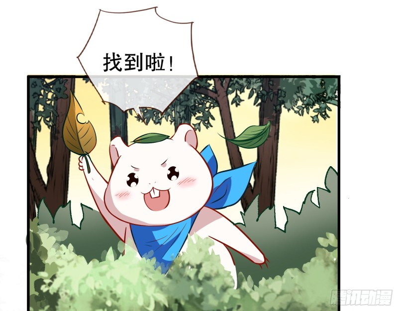 天地印66