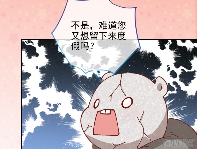 拆穿与回忆111