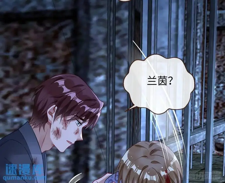 兰因絮果71