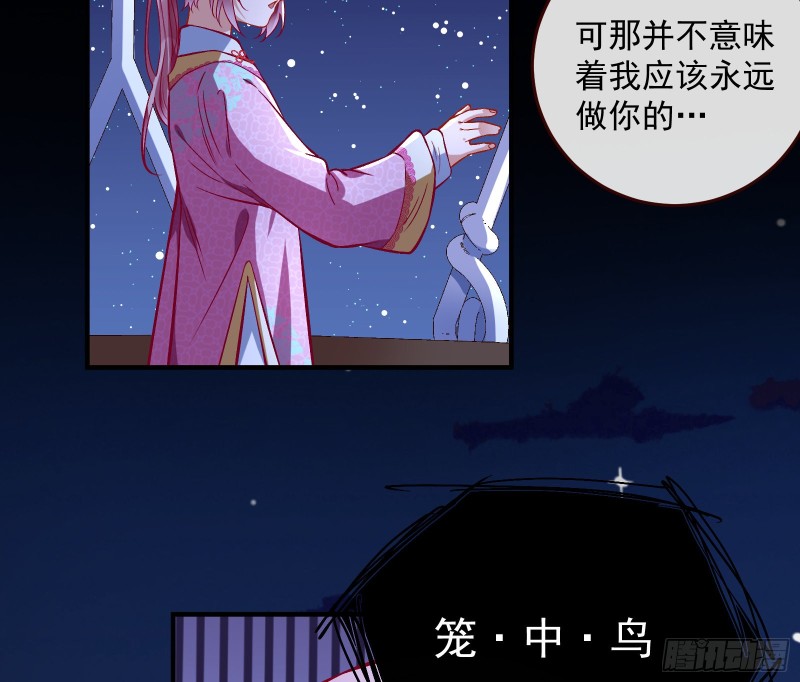 笼中鸟20