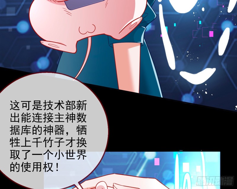七生七世万里菊花107