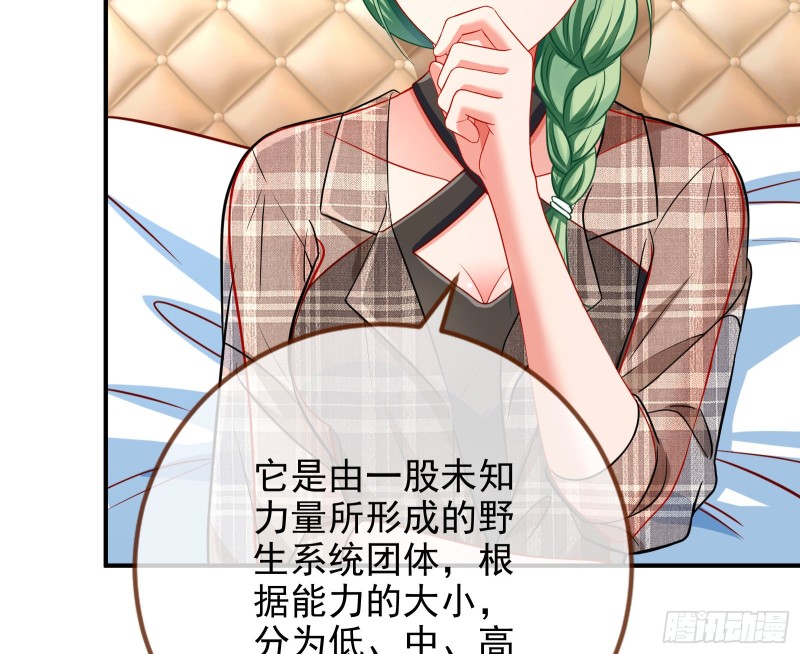 会合74