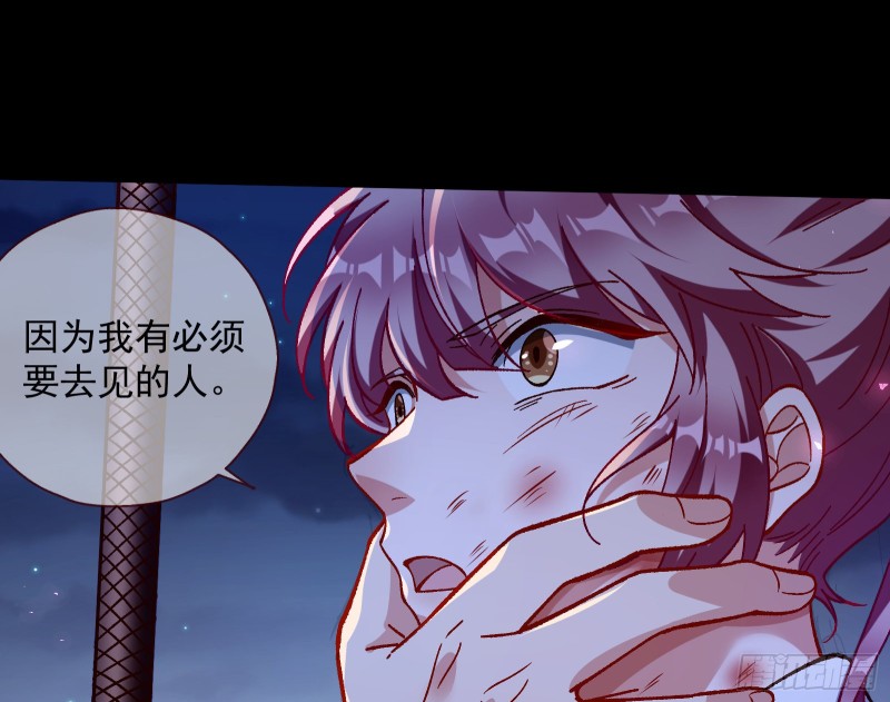 外挂已到账31