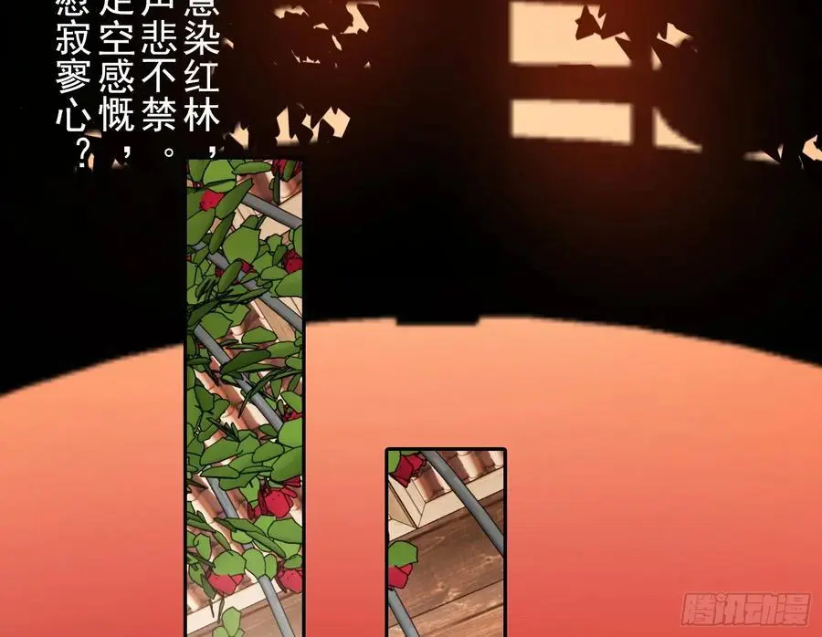 笼中雀27