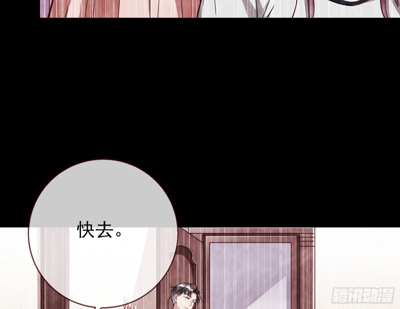 七生七世万里菊花49