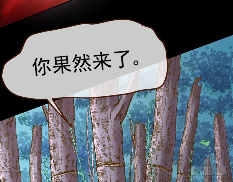 美救英雄6