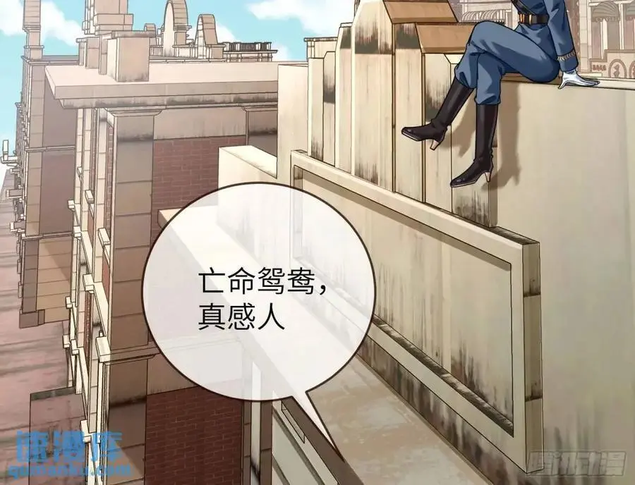 兰因絮果115