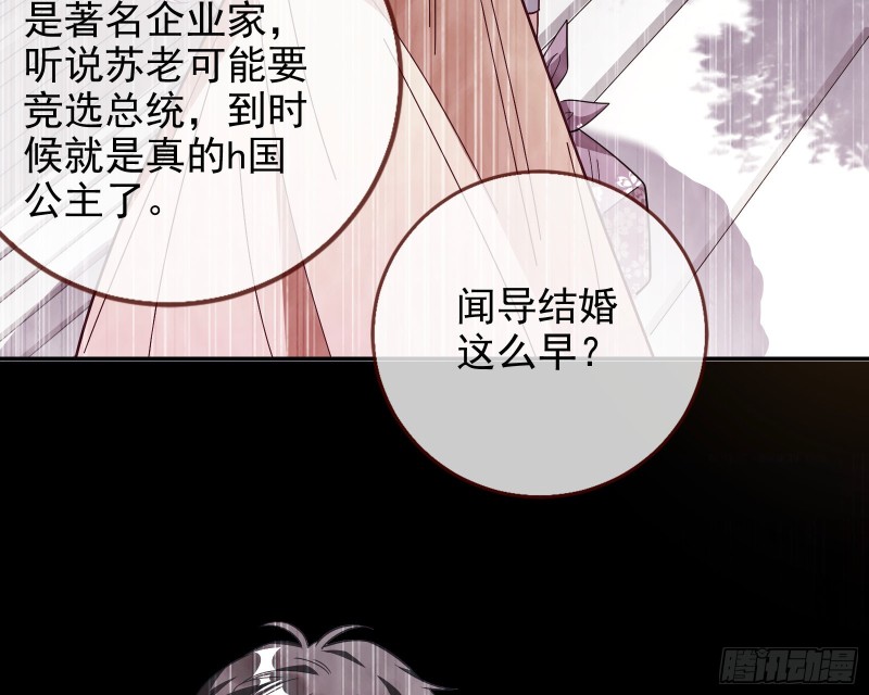 七生七世万里菊花17