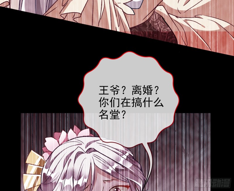 七生七世万里菊花72