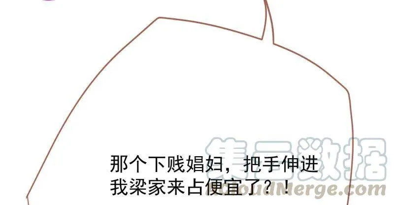 婆婆小三两败俱伤20