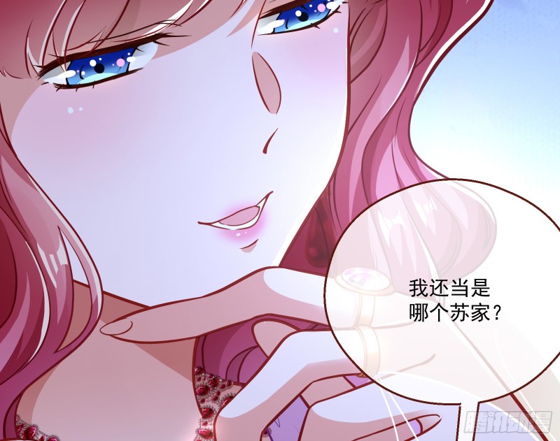 苏绿夏的遗物19