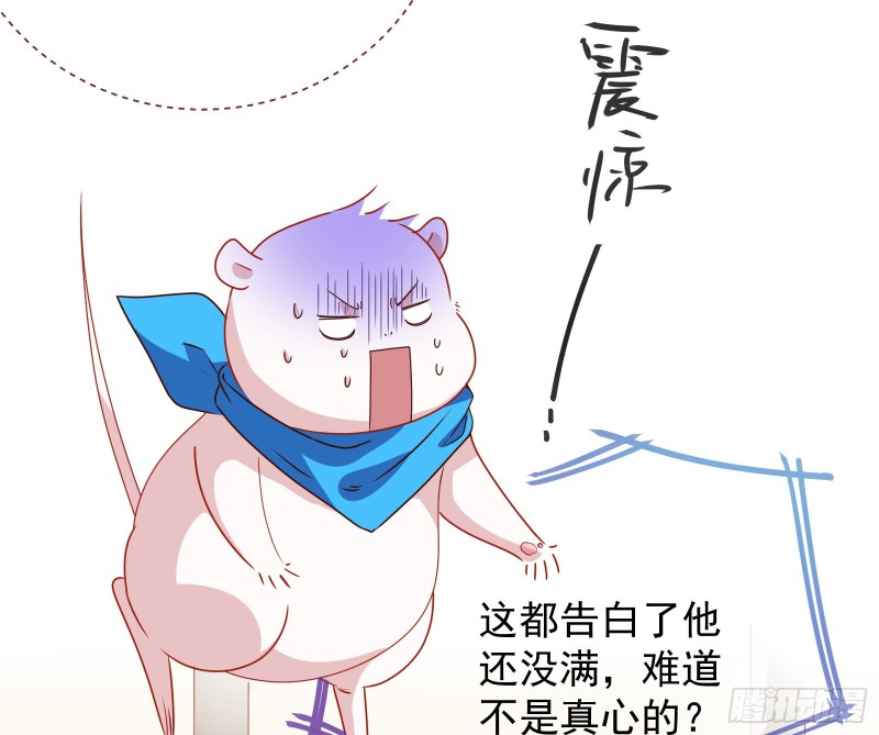 完美的求婚76
