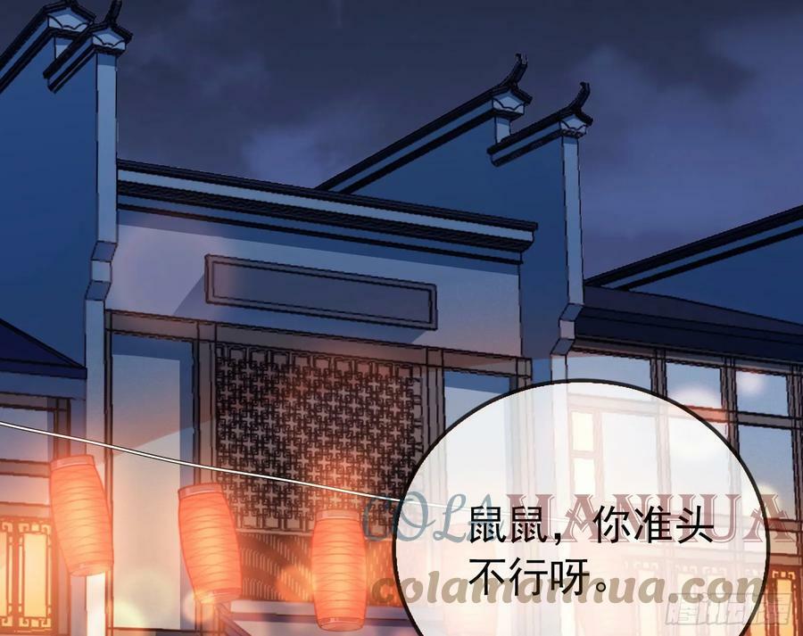 鼠鼠有难48
