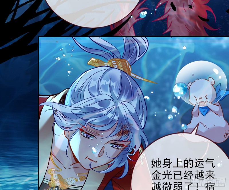 气运之子60