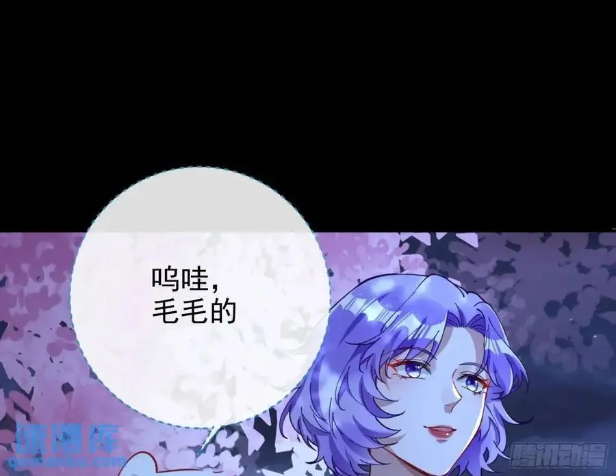取悦5