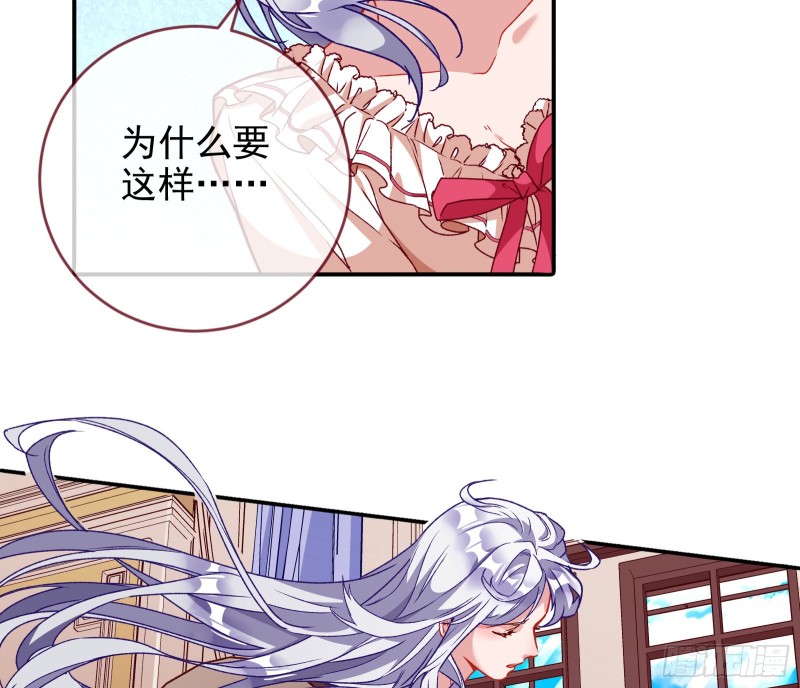 七生七世万里菊花88
