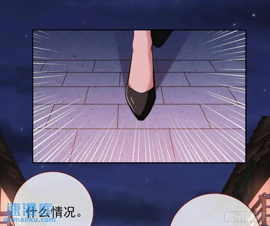 空手套白狼2