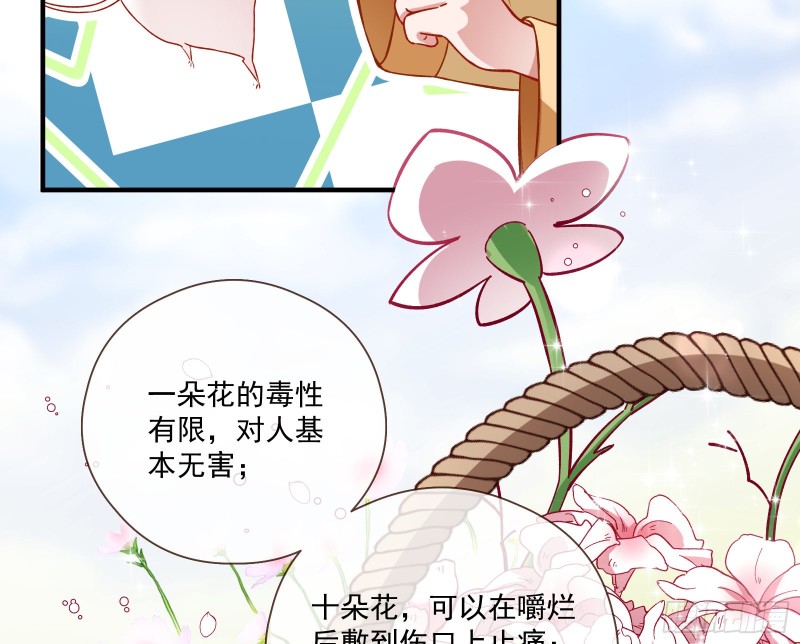 极限反杀13