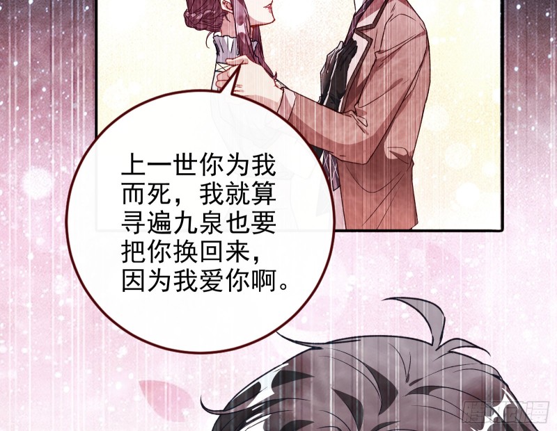 七生七世万里菊花78