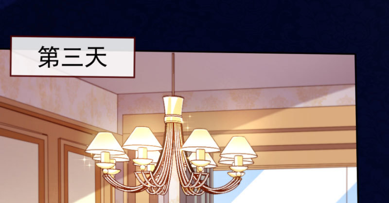 背叛与谎言25