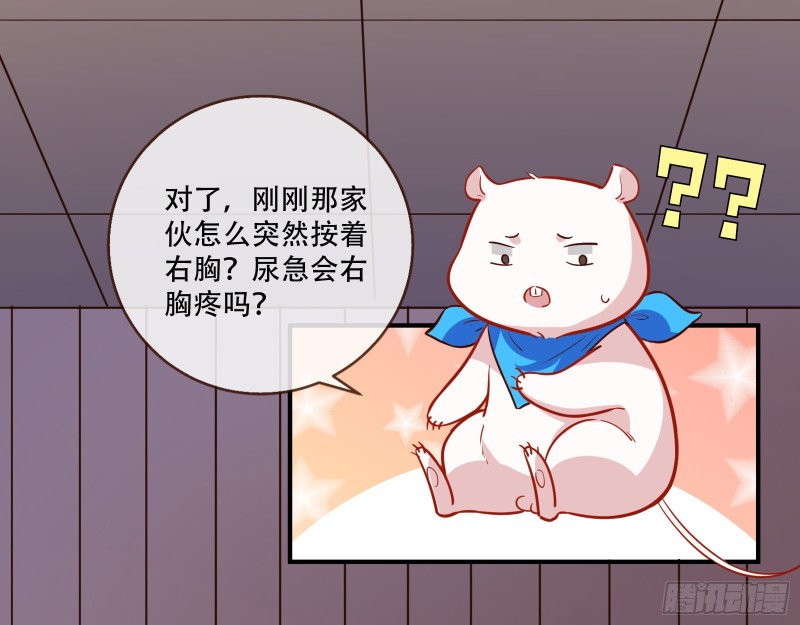 头号贤夫74