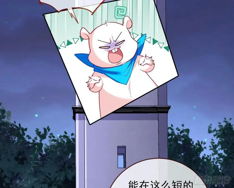 最美的烟花65