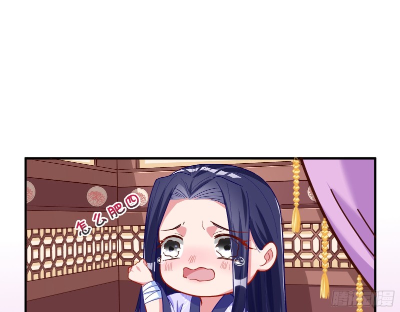 试验82