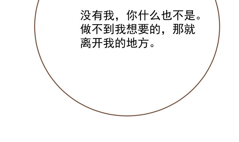 霸道军阀28