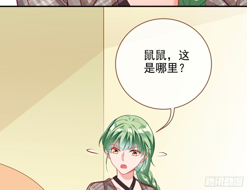 会合55
