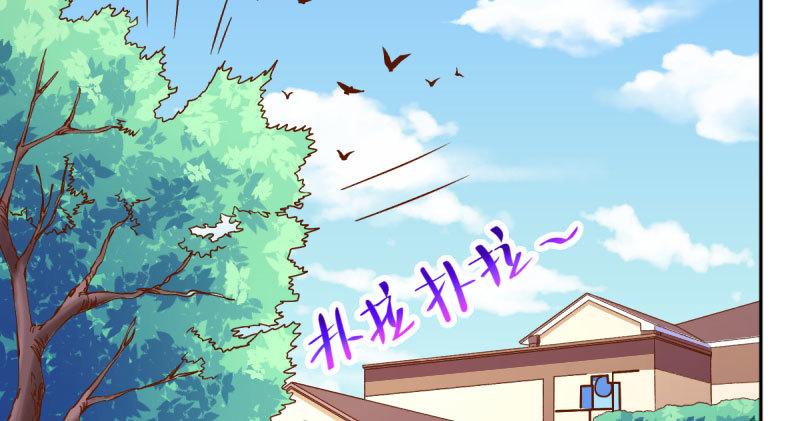 狗血女配登场50