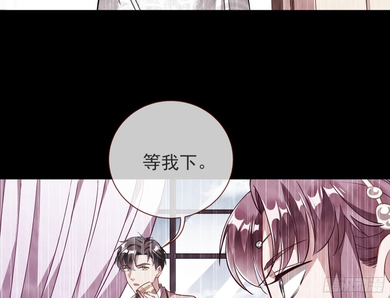 七生七世万里菊花40