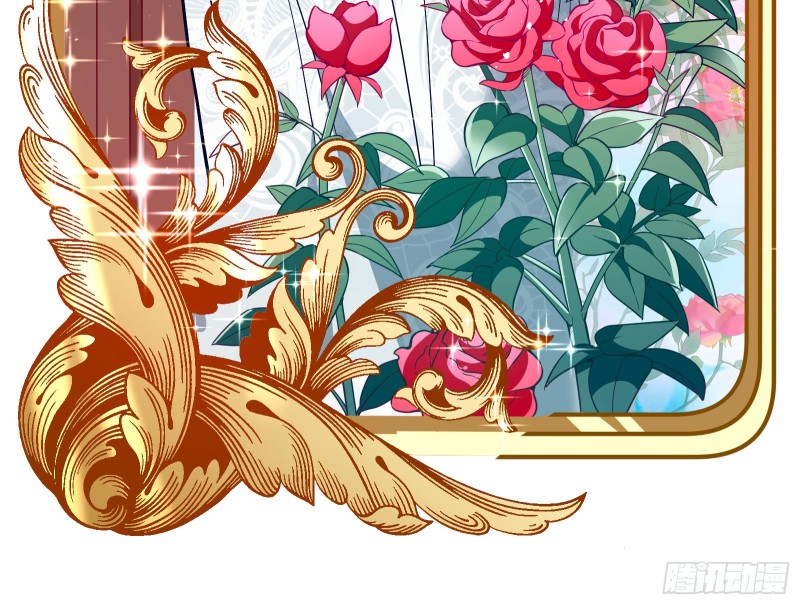 七生七世万里菊花124