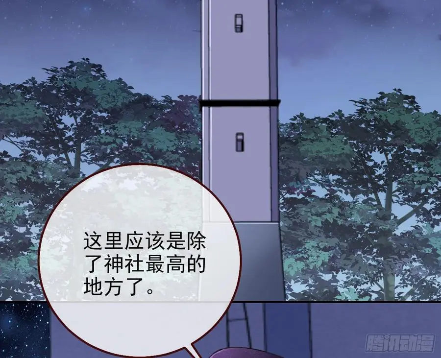 最美的烟花8