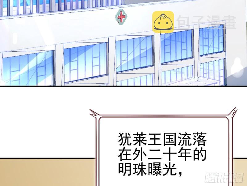 遗落的王储88