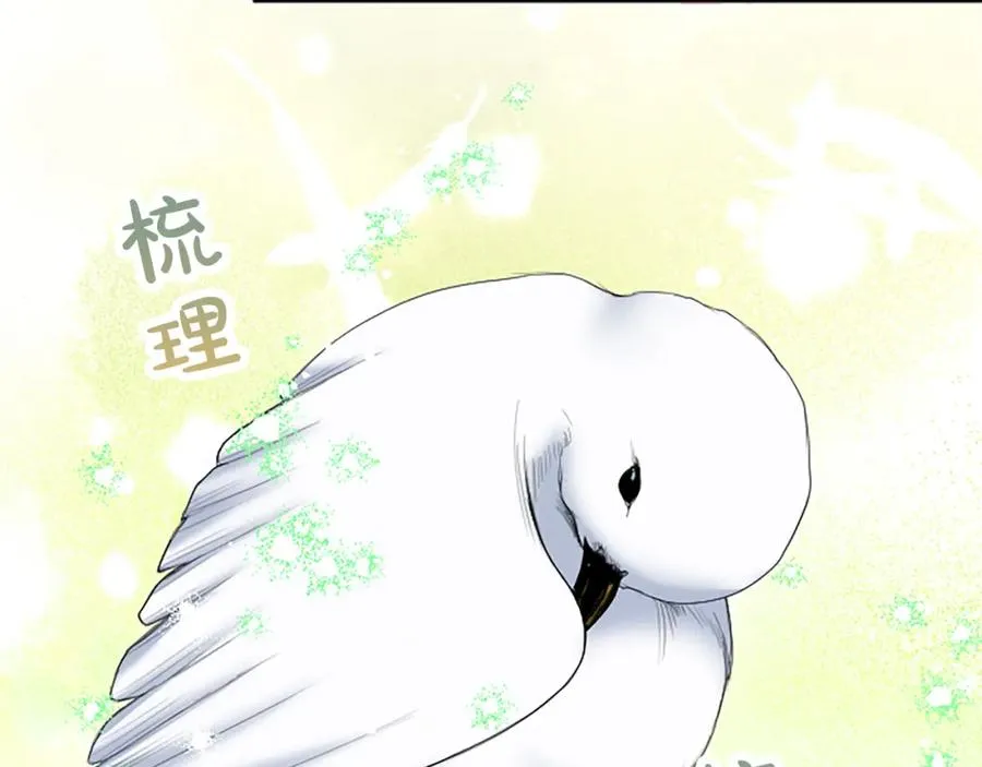 第五十五话 骑士vs王子123