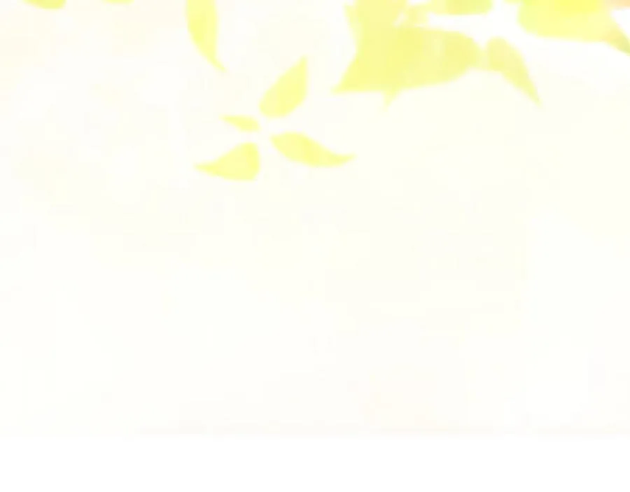 第七十四话 帕夏王子的打算149