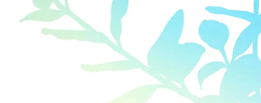 第五十六话 比试开始31