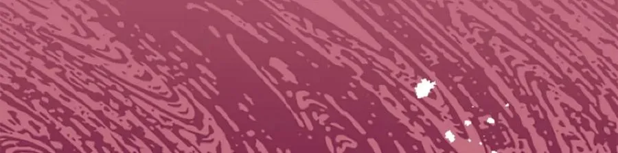 第十二话 晚宴58