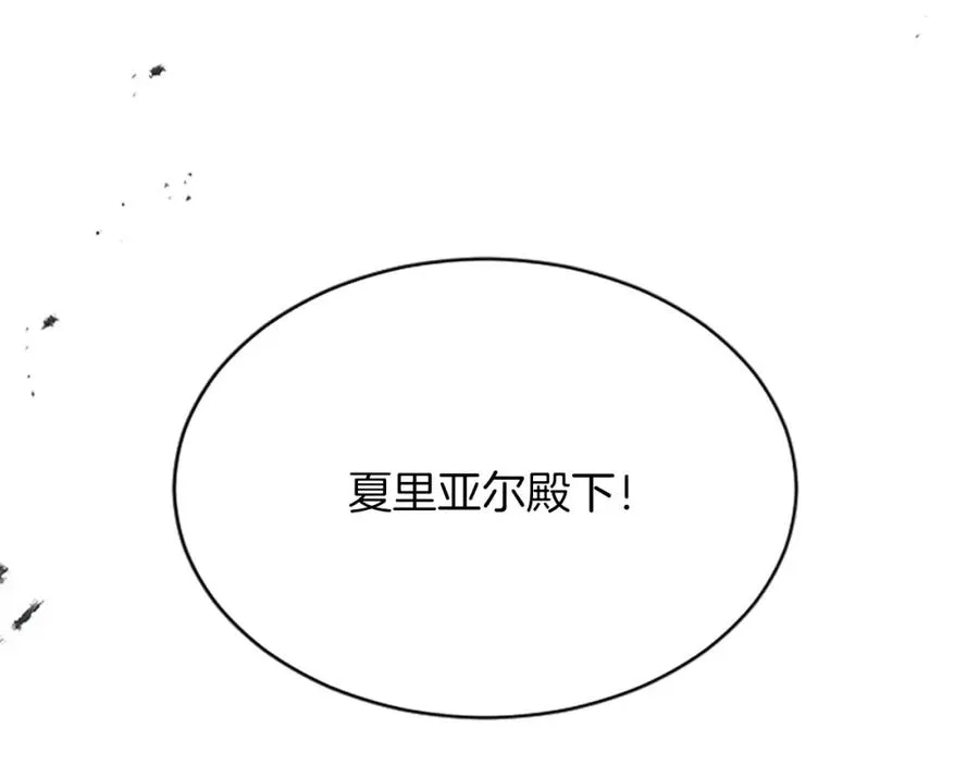 第七十四话 帕夏王子的打算11
