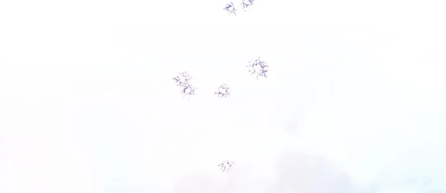 第五十一话 我的人生我做主34