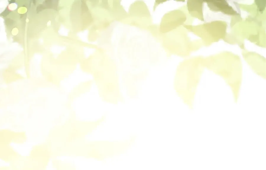 第六十八话 兄弟间的争吵21