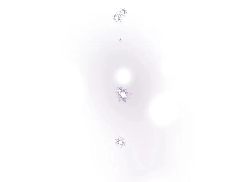 第五十三话 远方来的客人63