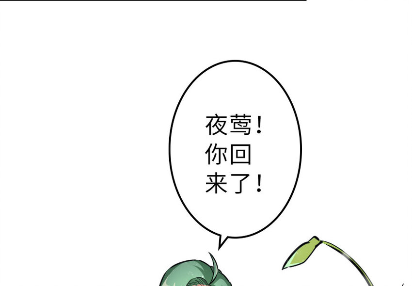 41 营地51