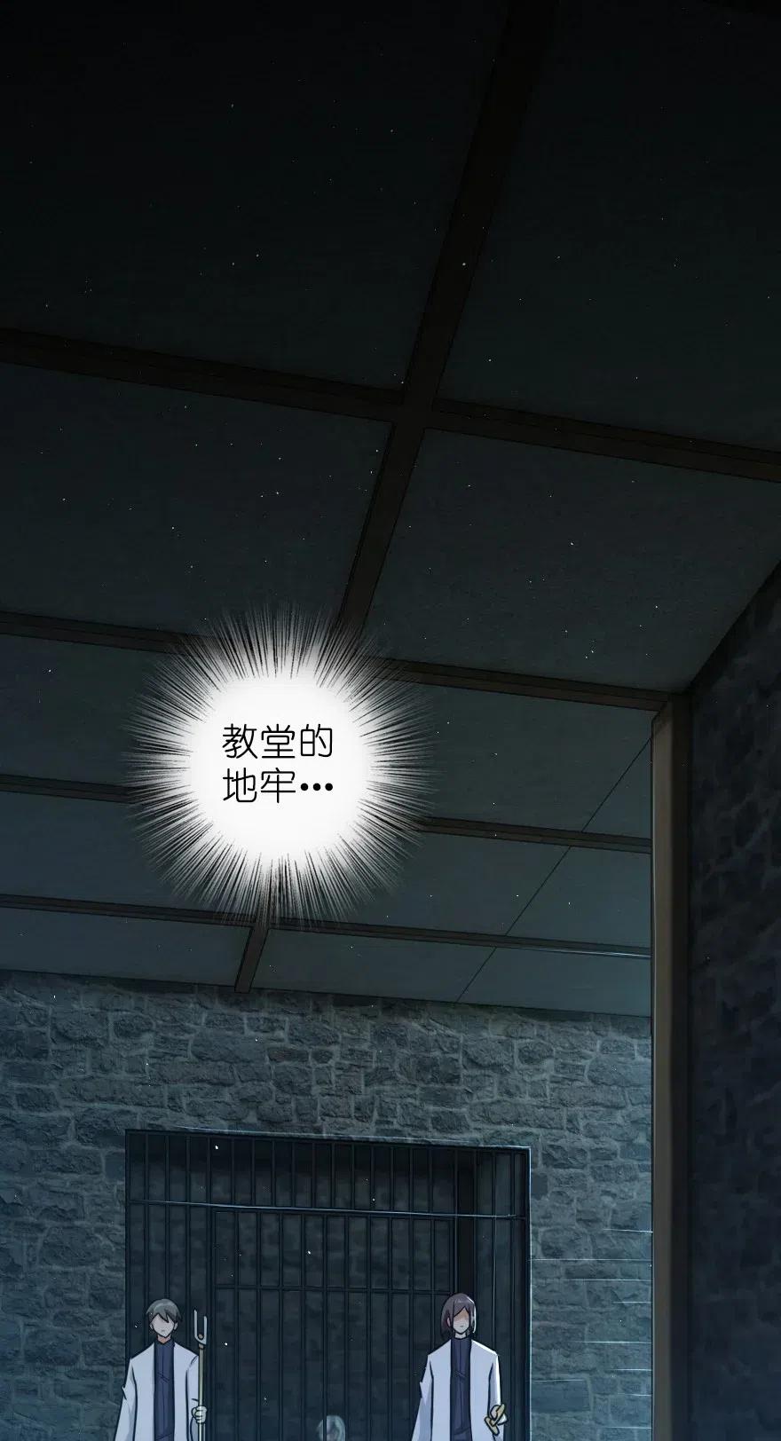 253 我的同伴1
