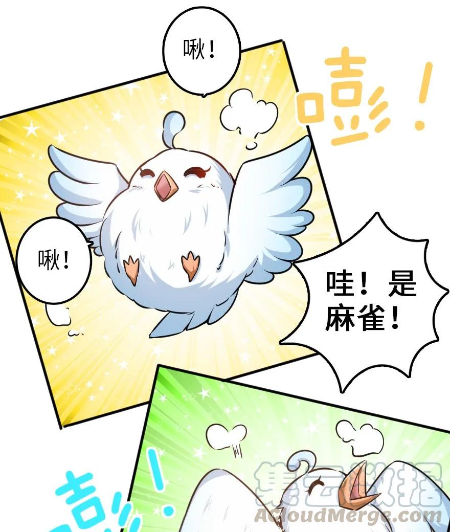 112 热气球之旅16