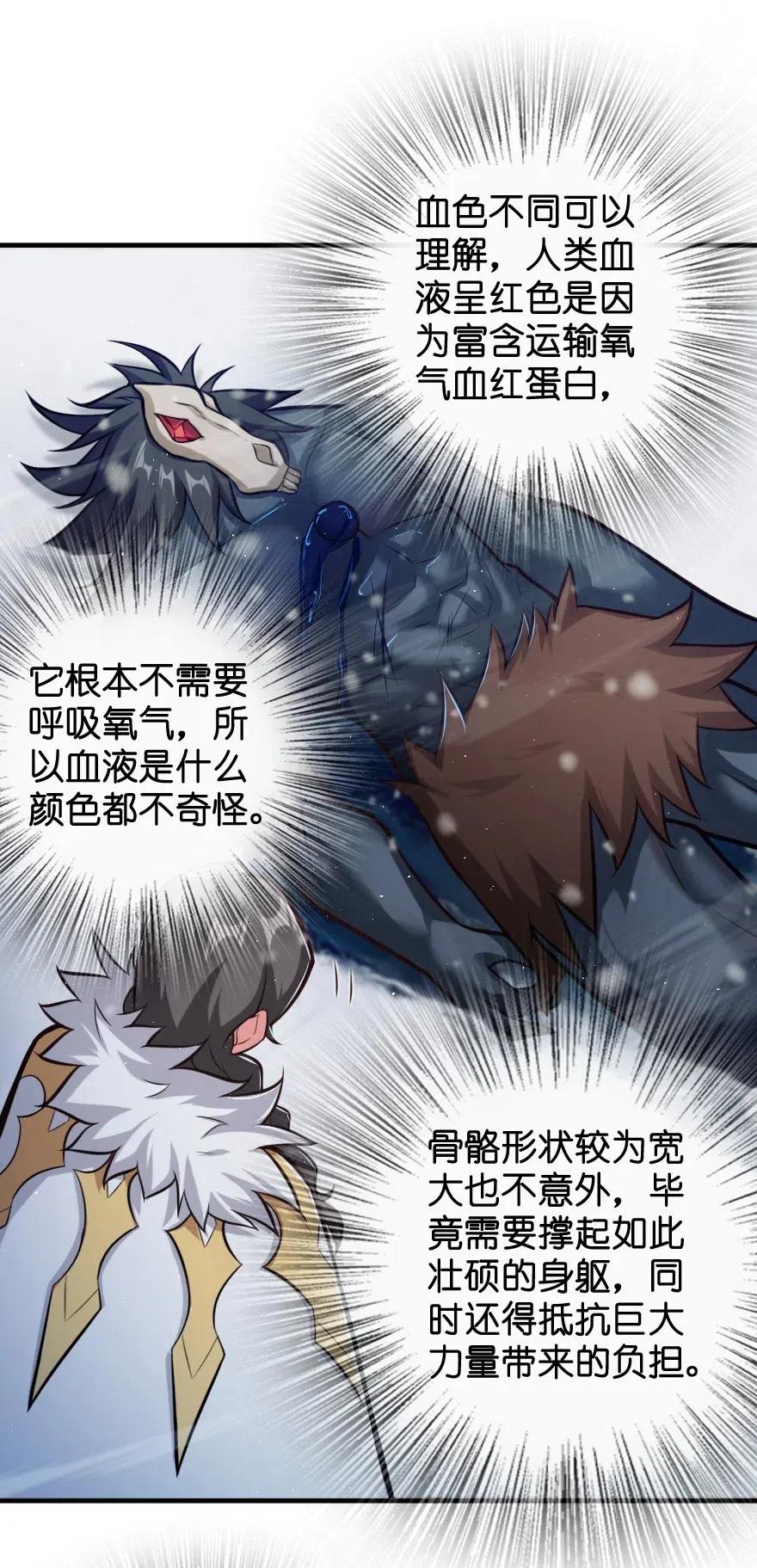 243 战果检查41