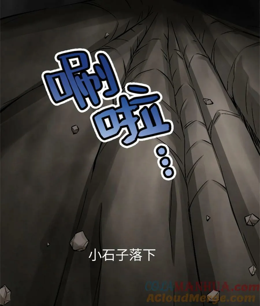 493 “鸡鸭骑士”39