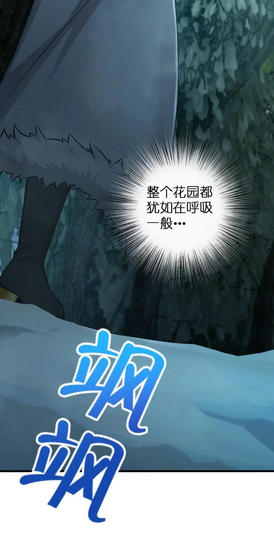 228 森林之心18