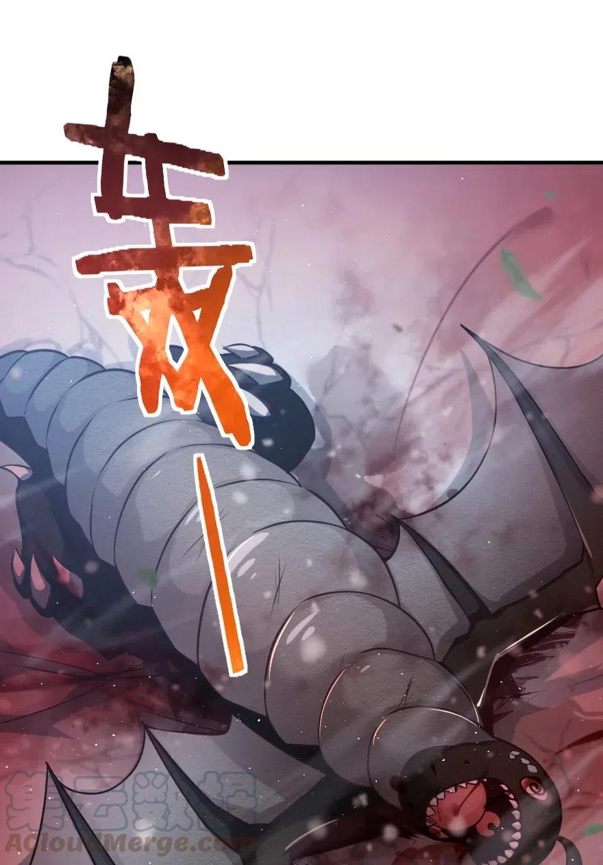 243 战果检查6
